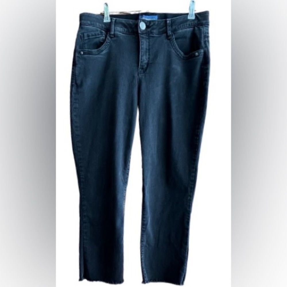 Democracy Women’s Plus Absolution Stretchy Waist Denim High Waist Jean